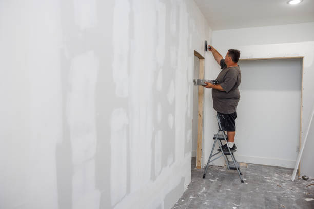 Best Basement Mold Removal  in Bloomfield, NY