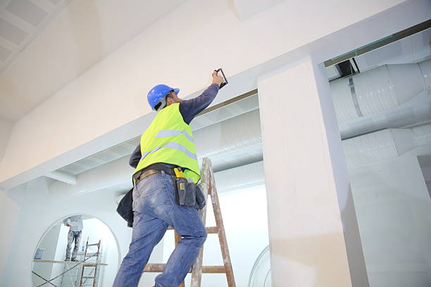 Best Mold Damage Restoration  in Bloomfield, NY
