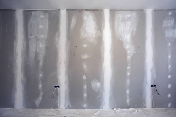 Best Water Damage & Mold Remediation  in Bloomfield, NY